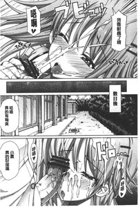 第141頁圖