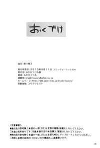 第17頁圖