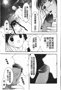 第29頁圖