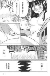 第17页图