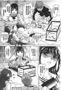 第161頁圖