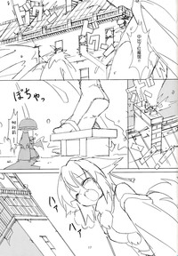 第17页图