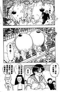 第161頁圖
