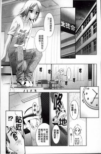 第141頁圖