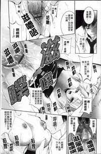 第213頁圖