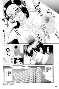 第41頁圖