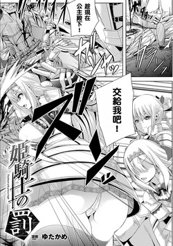 姫騎士の罰圖