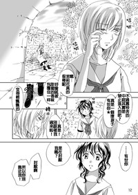 第13页图