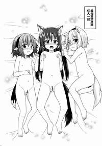 第17頁圖