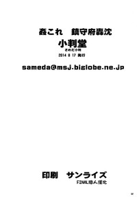 第33页图