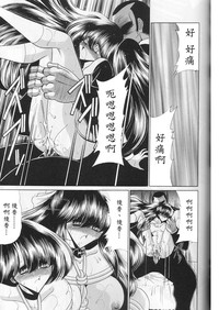 第29頁圖