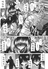 第205頁圖