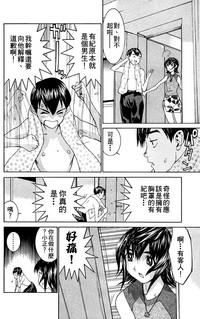 第81頁圖