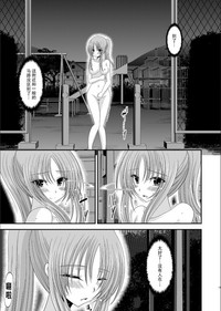 第17页图