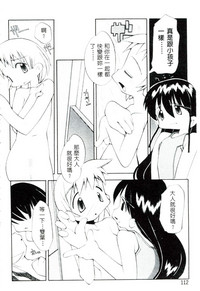 第113頁圖
