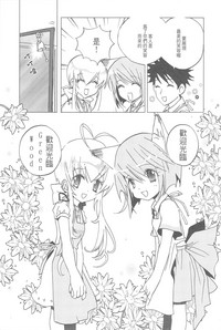 第33頁圖