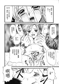 第113頁圖