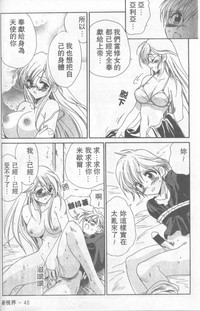 第41頁圖