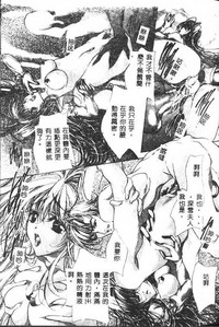 第81頁圖