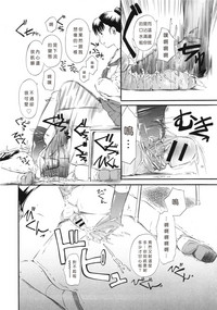 第205頁圖