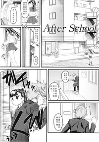 第213頁圖