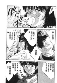第33頁圖
