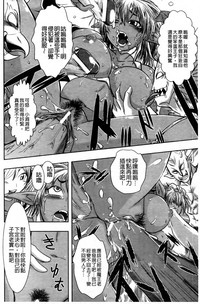第65頁圖