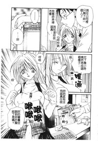 第133頁圖