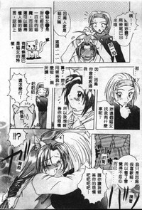 第13頁圖