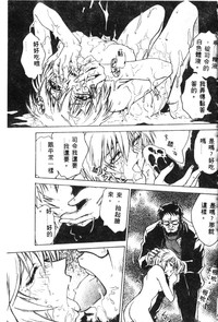 第133頁圖