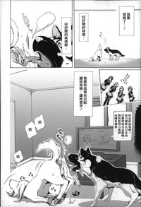第117页图