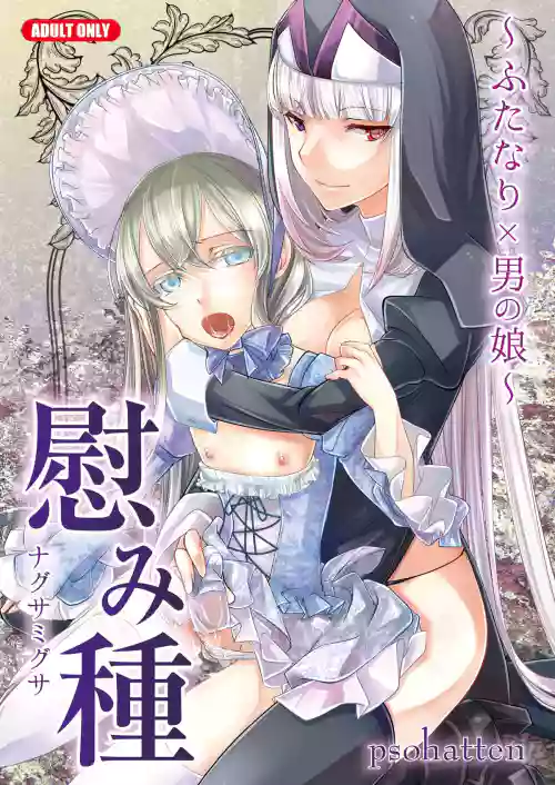 慰み種 ～ふたなり×男の娘～圖