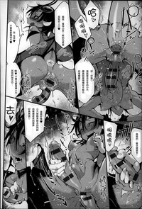 第233頁圖