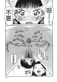 第41頁圖