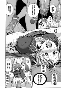 第17页图