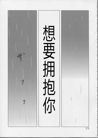 第13页图