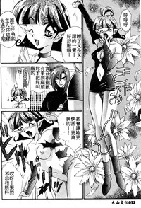第29頁圖