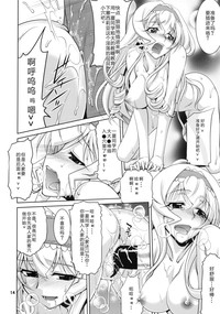 第13页图