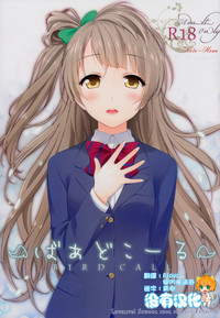 第1頁圖