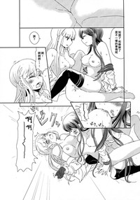 第17页图