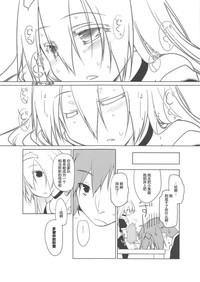 第221頁圖