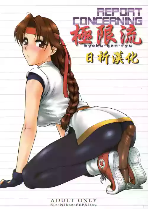REPORT CONCERNING 極限流圖