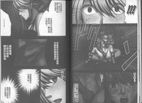 第29頁圖