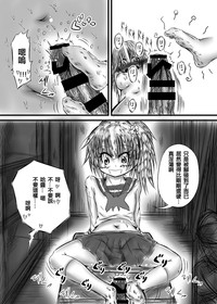 第17页图