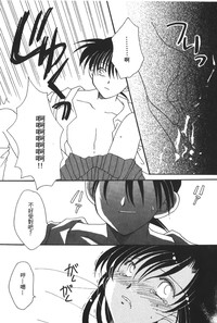 第29頁圖