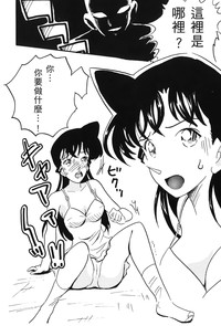 第137页图