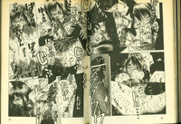 第53頁圖
