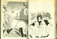 第33頁圖