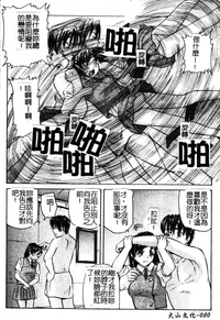 第81頁圖