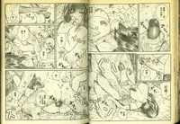 第33頁圖